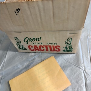 Vintage Kresge Grow Your Own Cactus Kit, Cactus Plant