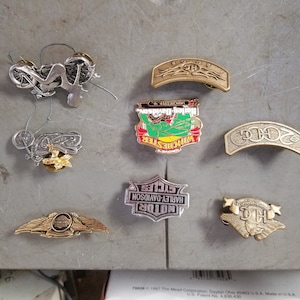 May include: A collection of Harley-Davidson pins and emblems. The pins include motorcycle designs, the Harley-Davidson logo, and various city and state emblems. The color palette includes silver, gold, red, green, and black.