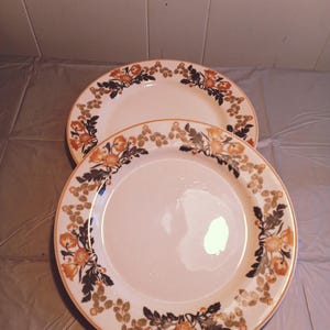 2 Vintage Syracuse China of OPCO Berkshire Dinner Plates