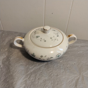 Vintage Style House Fine China Japan Juliet  Sugar Bowl, Floral Turquoise Green & Gray, Style House Sugar