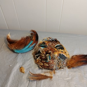 Vintage Feather Lot, Colored Feathers, Brown Blue Feathers