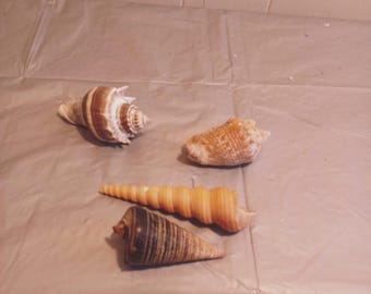 il_340x270.6580893684_gfzu.jpg