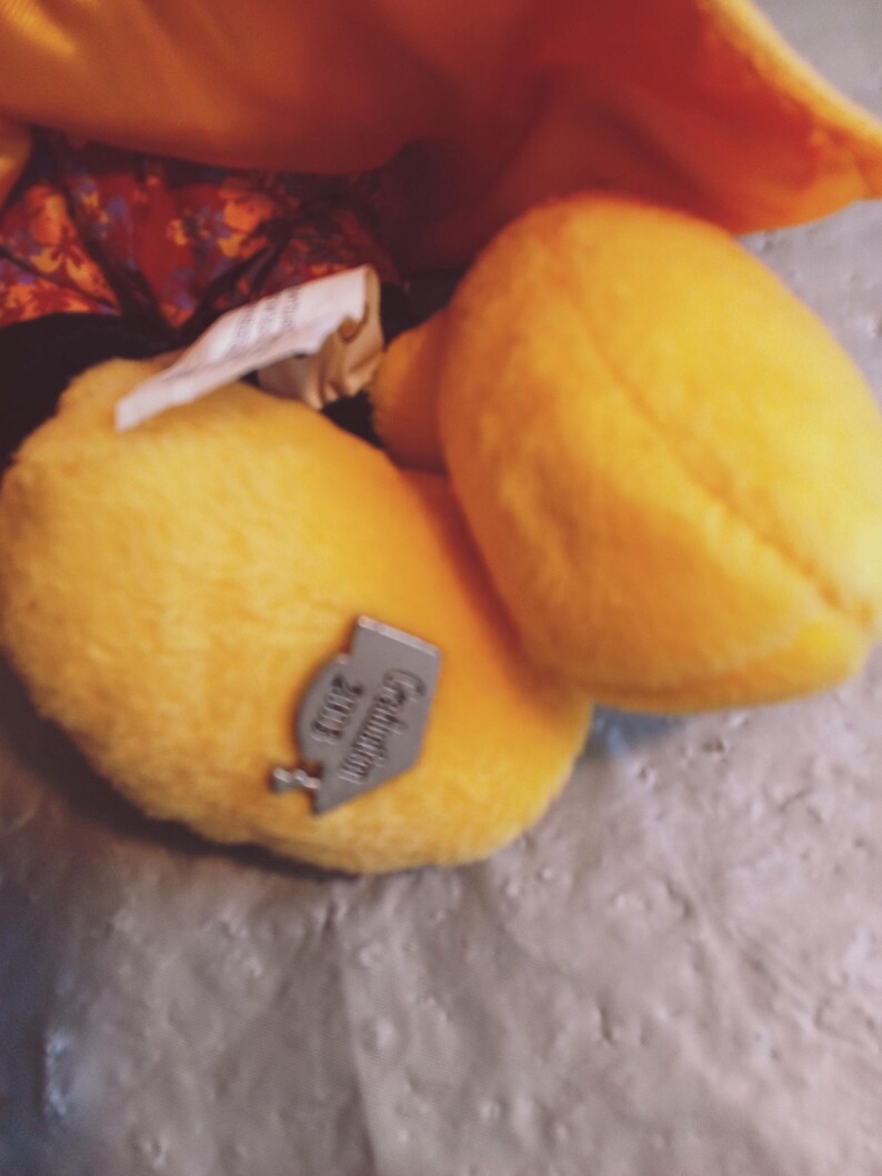 Puede incluir: Primer plano de dos patos de peluche amarillos. Un pato tiene una etiqueta plateada que dice "Graduation 2003". Los patos est&aacute;n sobre una superficie gris, con una tela amarilla en el fondo.