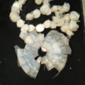 May include: An overhead shot of a collection of white, round objects, possibly beads or small ornaments, arranged in a circular pattern. Below, a fragmented, fan-shaped structure with a central hole is visible, all set against a dark background.