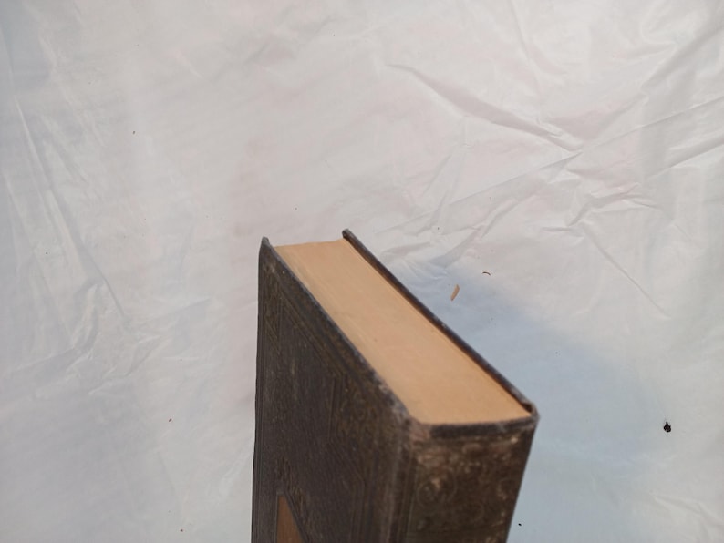 May include: A vintage book with a brown, textured cover and tan-colored pages. The book's spine and edges show signs of wear, suggesting its age. The cover has a decorative embossed design.