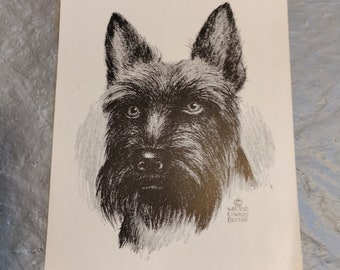 Mid Century Vintage Walter Edward Blythe Dog Print, Scottish Terrier Wheaton Terrier