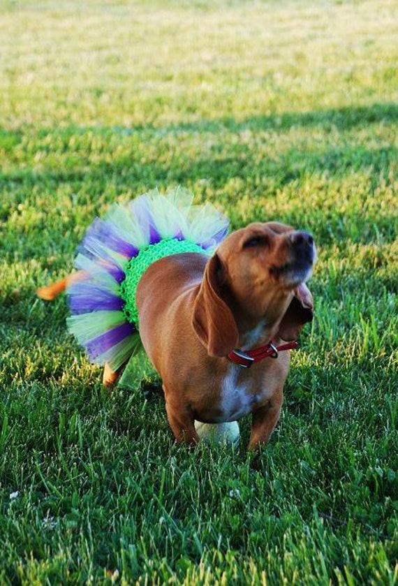 Canines assist kids with better socially and sincerely