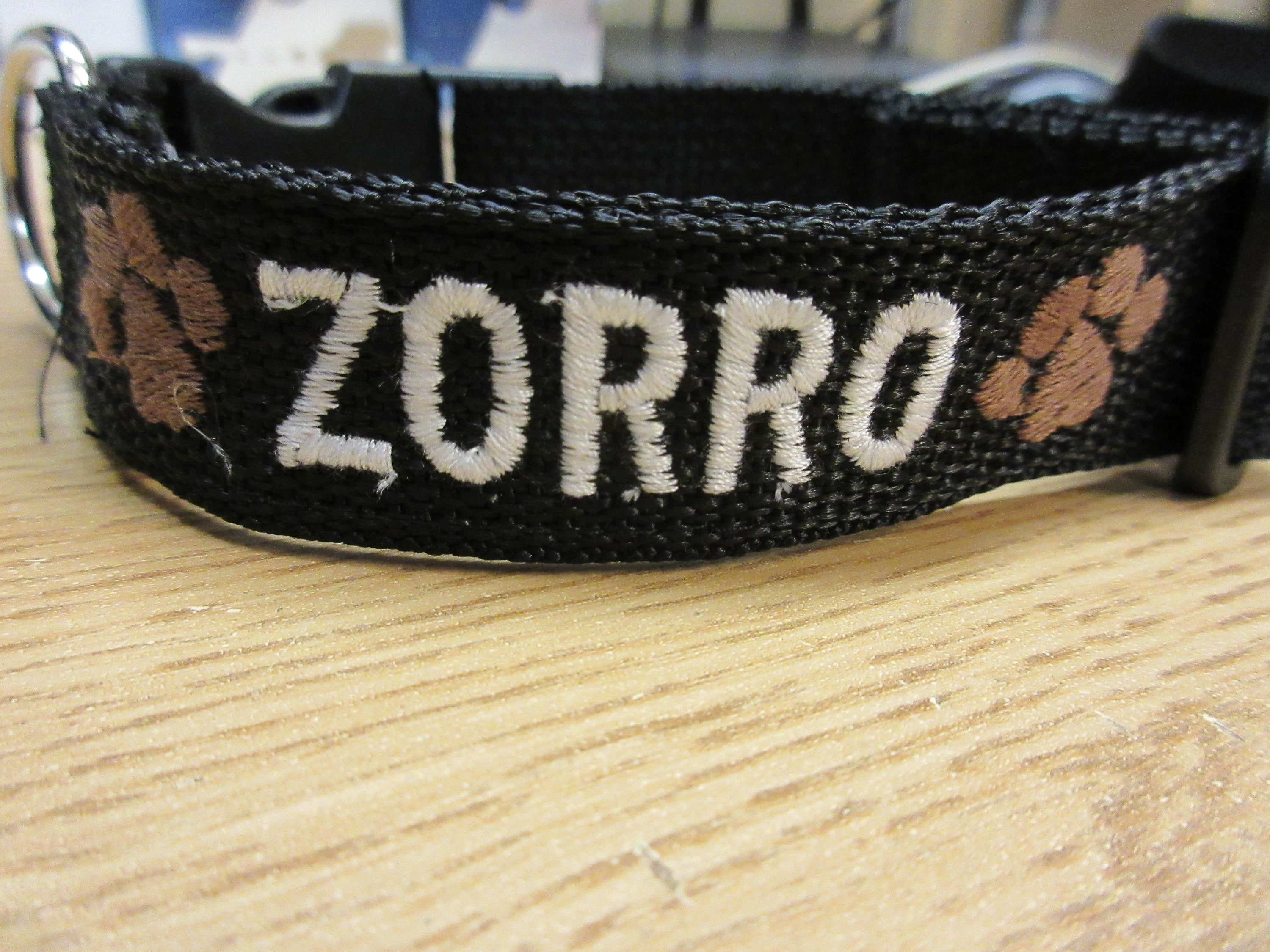 dog belt name