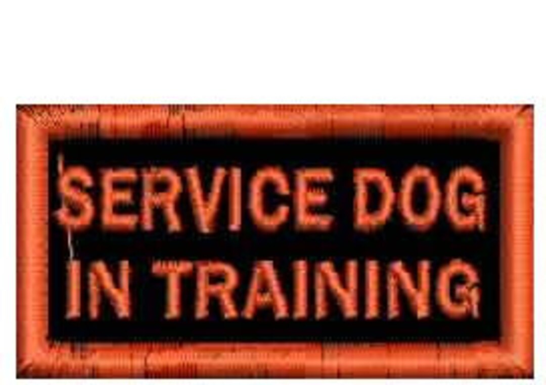 Service Dog in Training Patch for Small Dog 2.1 Inches X 1.7 Etsy