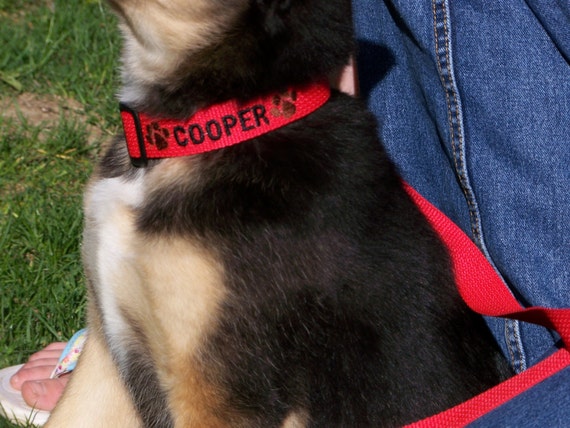 name embroidered dog collars