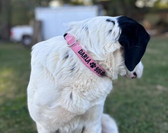 Collar bordado para perro: Nombre y número personalizados, identificación personalizada para mascotas.
