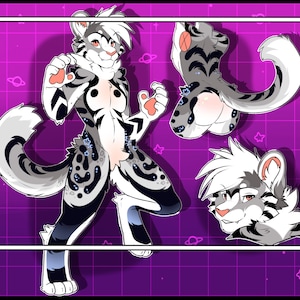 May include: Digital illustration of a stylized feline character with white, grey, and black markings. The image includes a full body pose, a tail, and a headshot, against a purple grid background with space-themed icons.