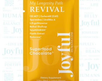 REVIVAL Superfood Chocolate Bar | Lemon Ginger | 24K Gold | Organic Cacao | Luxury Dark Chocolate Gift | Adaptogen