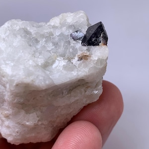 Natural Blue Spinel Crystal in Matrix | Gilgit Baltistan, Pakistan | Rare Mineral Specimen