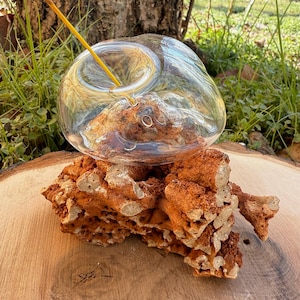 Incense Holder – Natural Stone Base with Hand-Blown Glass, Meditation & Home Décor