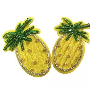 Delicious looking handmade pineapple pasties reusable by roger rich