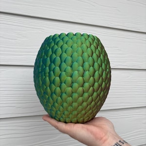 Stor mystisk drakeäggplanter