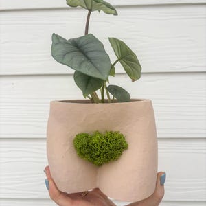 Woman's Cheeky Planter