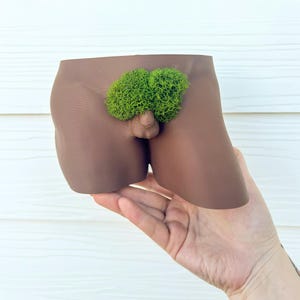 Puede incluir: Un macetero de cerámica marrón con forma de torso humano con una planta de musgo verde que crece en la parte superior.