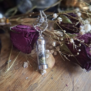 May include: A cylindrical glass vial pendant with silver-toned metal caps, suspended from a silver-toned ball chain. The vial contains a layered arrangement of white snake skin fragments, dark charcoal-colored material, and small green botanical bits.