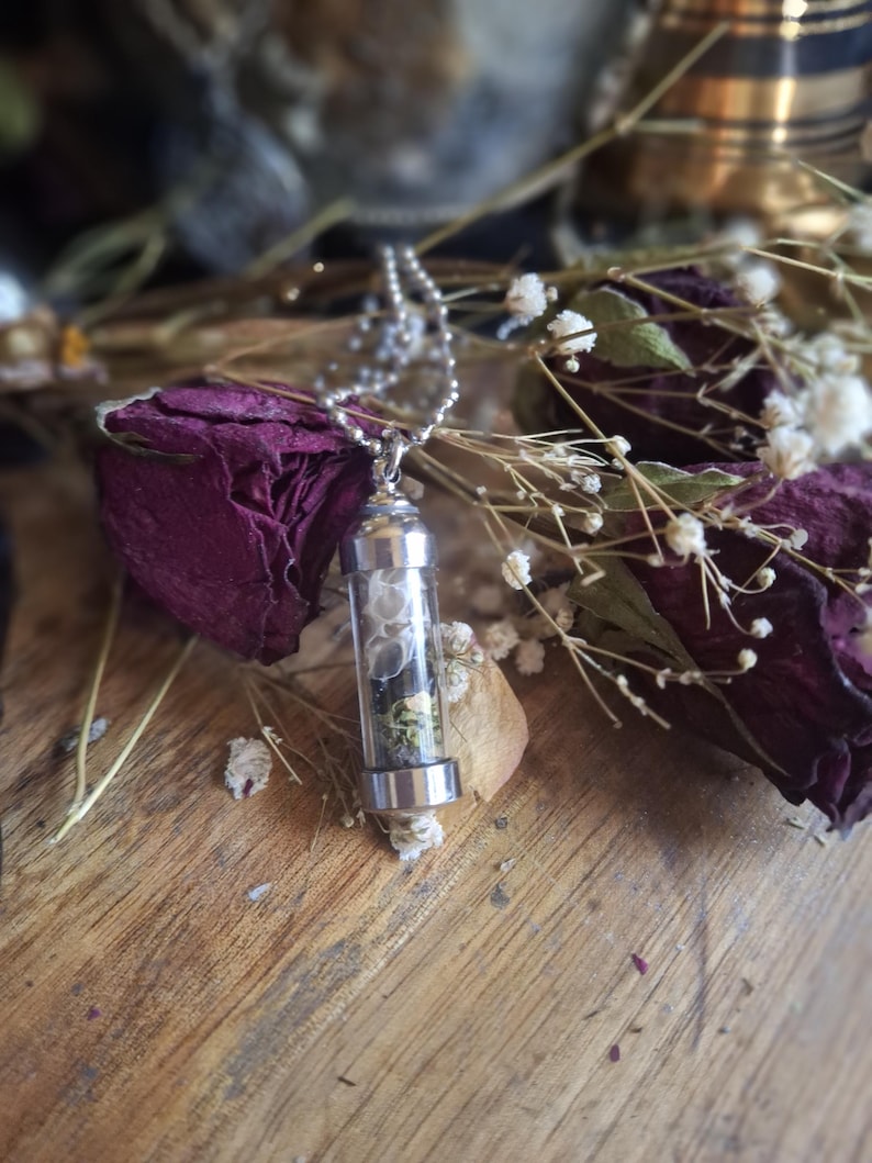 May include: A cylindrical glass vial pendant with silver-toned metal caps, suspended from a silver-toned ball chain. The vial contains a layered arrangement of white snake skin fragments, dark charcoal-colored material, and small green botanical bits.