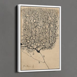 Santiago Ramón y Cajal print, neuron print, anatomische poster, antieke anatomische muurkunst, neurowetenschap muur decor, hersenen anatomie decor