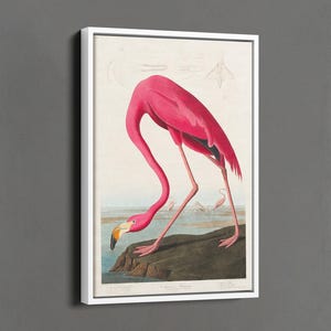 Flamingo Canvas Print, Pink Flamingo Vintage Wall Art, Botanical Print, Maximalist Decor, Vintage Animal Wall Art, Hotel Wall Decor