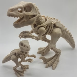 Articulated Raptor Skeleton. Flexi dinosaur figurine.