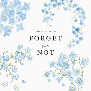 Clipart grand millénaire bleu aquarelle, myosotis, cadres floraux, bordure, écussons, motifs sans couture, faire-part de mariage, PNG, usage Commercial