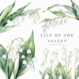 Clipart muguet, aquarelle floral PNG, téléchargement numérique de haute qualité pour des projets de mariage et d'artisanat, couronne de fleurs, journal indésirable