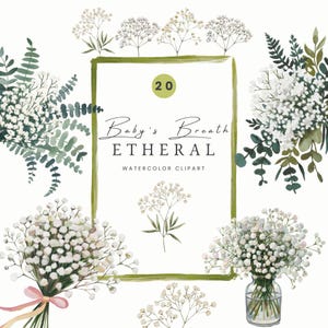 Clipart floral haleine de bébé, fleurs d'automne rustiques, fleur de gypsophile blanche, clipart faire-part de mariage, Bohème, baptême de douche, usage commercial