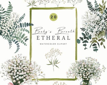 May include: A set of 20 watercolor clipart images featuring baby's breath flowers and greenery. The text "Baby's Breath Ethereal Watercolor Clipart" is displayed in the center of the image.