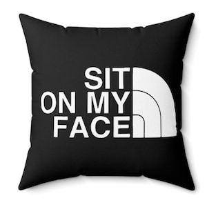 Funny Quote Throw Pillow, Comfy Home Decor, Unique Gift, Couch Cushion, Humor Accent Pillow, Housewarming Present