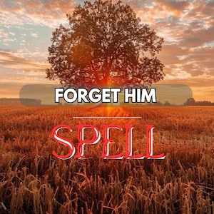 May include: A sunset landscape with a wheat field and a tree silhouetted against the sun. The text "FORGET HIM" is above "SPELL" in red, set against the warm colours of the sky and field.