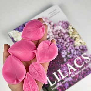 Könnte beinhalten: Fünf leuchtend rosa, blattförmige Silikonformen mit detaillierten Blattadern. Die Formen sind in einer Gruppe angeordnet, jede mit einer spitzen Form und einer abgerundeten Basis, konzipiert für Bastelarbeiten oder Dekorationen.