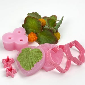 Puede incluir: Una colección de moldes de silicona rosa que incluye una forma de trébol de tres agujeros, un corazón con la impresión de una hoja verde texturizada, dos cortadores pequeños en forma de estrella y dos cortadores circulares ondulados, con bayas naranjas.
