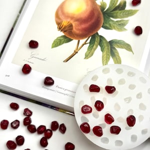 May include: An open book with a botanical illustration of a pomegranate fruit and leaves. Scattered around are several bright red pomegranate seeds and a white, round, porous object.