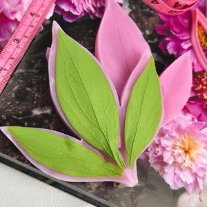 May include: A light pink silicone mold shaped like three distinct leaves, featuring detailed vein patterns on the surface. The mold is positioned next to a pink measuring tape that shows measurements in inches, with the mold spanning approximately 4 inches.