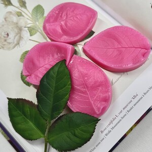 Könnte beinhalten: Vier rosa Silikonformen für Rosenblätter, mit einem grünen Rosenstängel und Blättern im Hintergrund. Der Text "Rosa centifolia L. var. muscosa 'Alba' White moss rose | Weiße Moosrosen-Sorte | Rosier mousseux à fleurs blanches" ist im Hintergrund sichtbar.