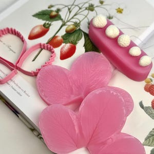 Könnte beinhalten: Nahaufnahme von rosa Seifenformen in Herzform und einem rechteckigen Riegel, der mit weißen Kugeln verziert ist. Die Artikel liegen auf einem Buch mit botanischen Illustrationen von Erdbeeren und Blumen. Ein rosa herzförmiger Ausstecher ist ebenfalls zu sehen.