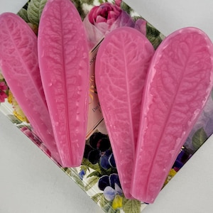Könnte beinhalten: Vier längliche, leuchtend rosa Silikonformen in Form einzelner Salatblätter. Jede Form weist ein detailliertes, erhabenes Adern-Muster auf der Oberfläche auf, das die natürliche Textur eines Blattes nachahmt. Die Formen sind fächerförmig angeordnet.