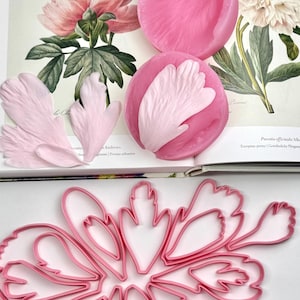 Stor pionbladsådra Dubbelsidig silikonform Pionutstickare Set 15 delar