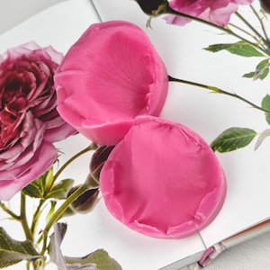 Könnte beinhalten: Zwei hellrosa, blütenblattförmige Seifen liegen auf einem offenen Buch mit Rosenillustrationen. Die Seifen haben eine strukturierte Oberfläche, die das Aussehen echter Rosenblätter nachahmt. Die Buchseiten zeigen detaillierte Bilder von rosa Rosen und grünem Laub.