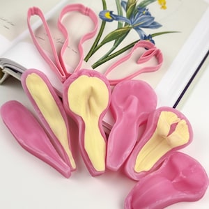 Könnte beinhalten: Ein Set aus drei weißen Keramikvasen in verschiedenen Höhen. Die Vasen haben ein strukturiertes, geriffeltes Design. Die höchste Vase ist etwa 25 cm hoch, die mittlere Vase 20 cm und die kleinste 15 cm.