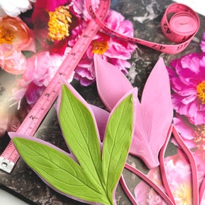 May include: A light green silicone mold shaped like a three-part leaf, accompanied by a pink silicone mold for petals and a pink measuring tape showing measurements in inches. The molds feature detailed vein textures for crafting floral shapes.
