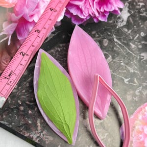 Puede incluir: Moldes rosas y verdes con forma de hoja y un cortador rosa con forma de hoja. Una cinta métrica rosa es parcialmente visible. Los moldes se utilizan para crear elementos decorativos, posiblemente para manualidades o repostería.