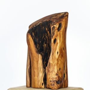 Può includere: Una scultura in legno di un tronco d'albero con un motivo a venature di legno marrone scuro e marrone chiaro. La scultura è su una base rettangolare marrone chiaro con la parola "COBE" impressa su di essa.
