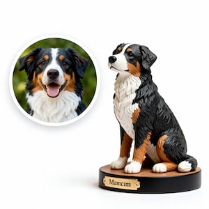 Può includere: Statuetta di Bovaro del Bernese con pelo nero, bianco e marrone, seduta su una base di legno con una targhetta dorata. Immagine circolare del volto di un Bovaro del Bernese a sinistra.