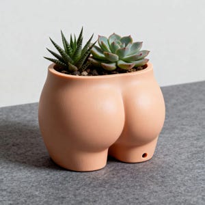 Funny Booty Succulent Planter, Unique Body Sculpture Home Decor