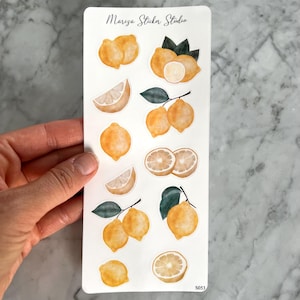 Pegatinas de limón en acuarela | Pegatinas de verano pintadas a mano | Pegatinas transparentes para diarios, agendas y scrapbooking | S053
